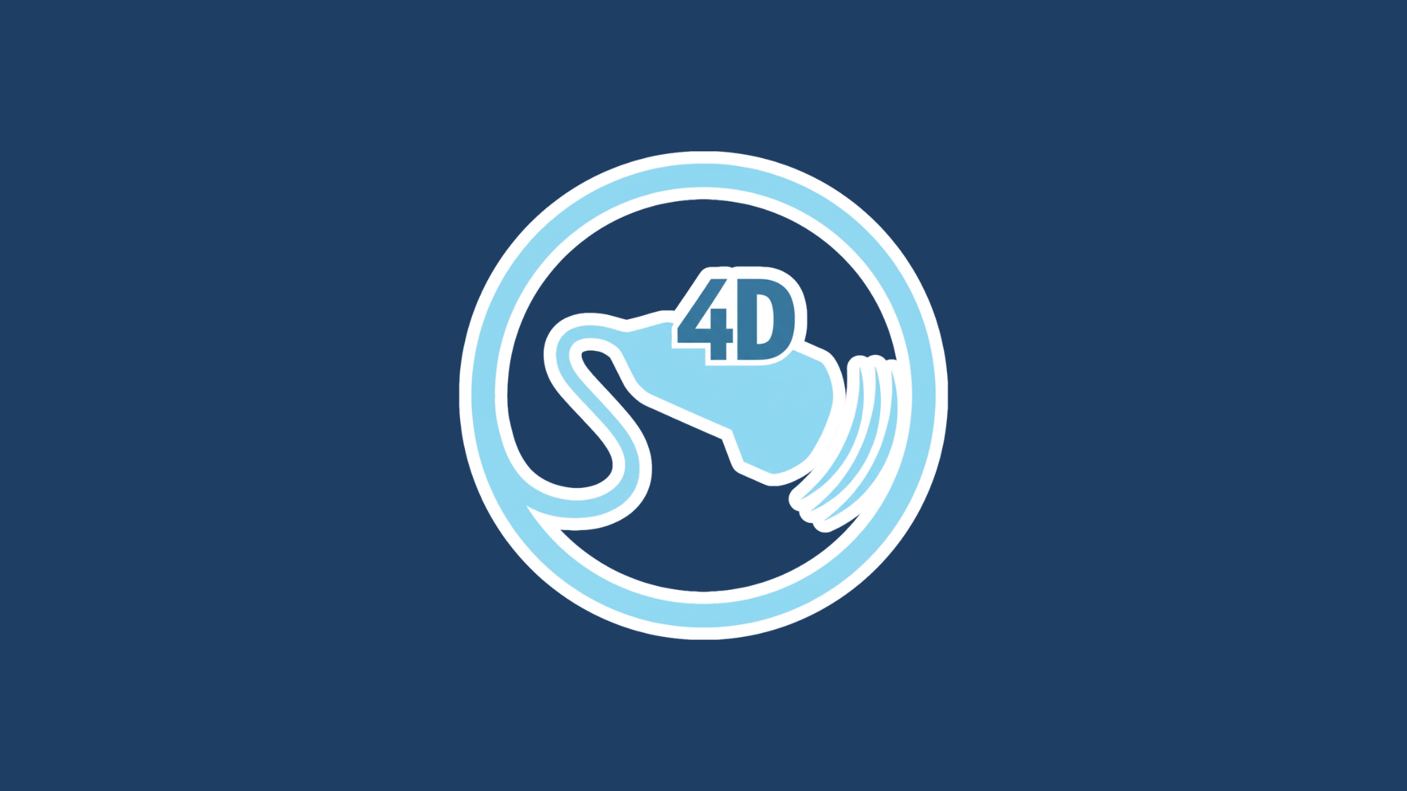 4D Ultrasound Scanning