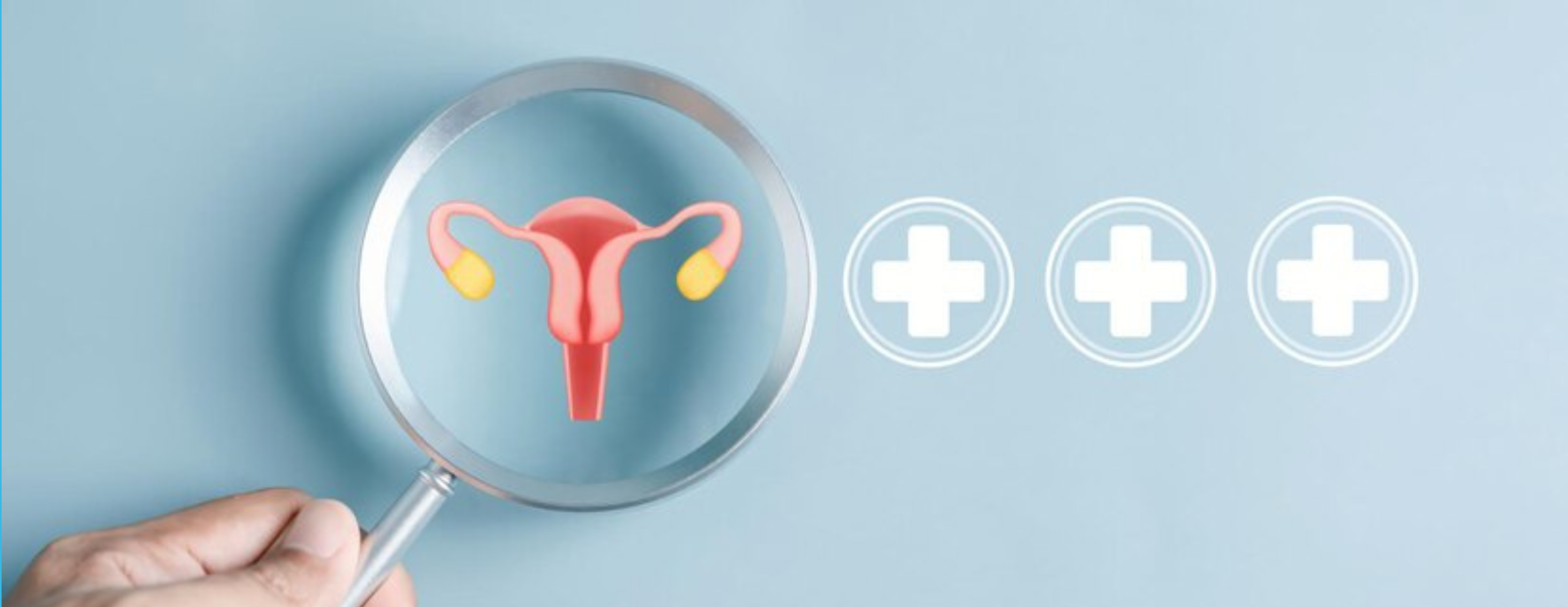 6 Key Fertility Success Factors to Know Before Starting IVF